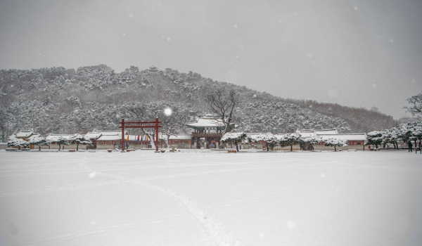 수원 겨울 설경 배경