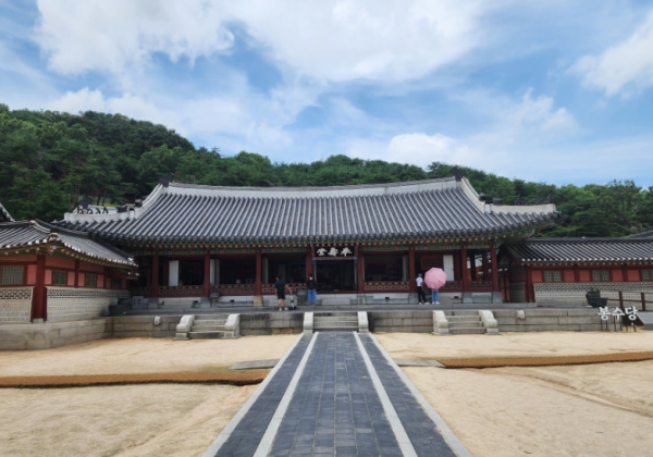 하루만에 제대로 수원을 느끼는 법