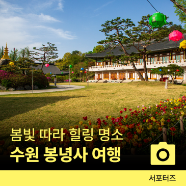 봄빛 따라 걷는 수원 봉녕사 산책 ☆