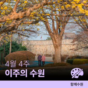수원 [4월 넷째 주] 문화 행사&스포츠 경기 일정 안내