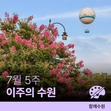 수원 [7월 다섯째 주] 문화 행사&스포츠 경기 일정 안내
