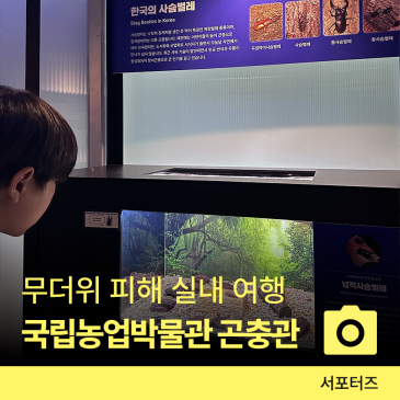 여름 아이와 무료로, 국립농업박물관 곤충관 반나절 관람 코스 ☆