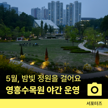 5월 수원 갈만한 곳, 불 밝힌 정원 야간 영흥수목원 ☆