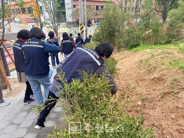 수원시 영통구 매탄1동,  ‘우리동네 새빛 새단장’ 환경정비 실시