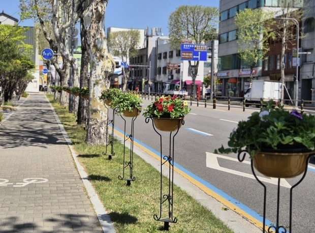 수원시 팔달구, 봄맞이 주요 도로변 꽃길 조성