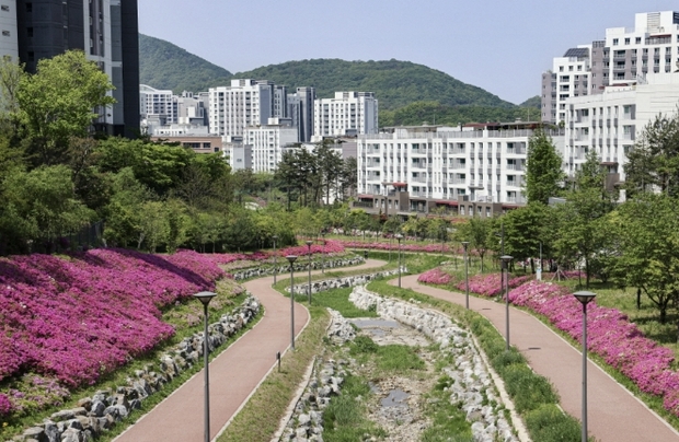 의왕시 백운밸리 바라천, 봄빛 머금은 철쭉길…&#038;quot;조용한 힐링 명소&#038;quot;