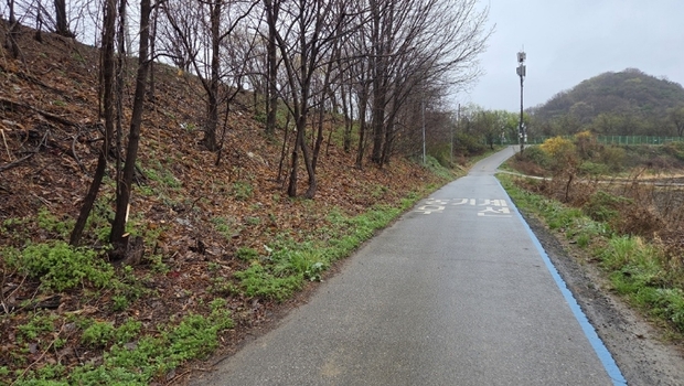 파주시, 평화누리길 자전거도로 위험수목 제거 완료