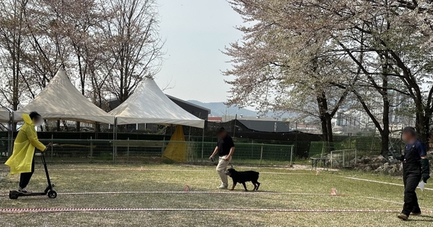 경기도, &#038;quot;맹견 키우려면 올해 말까지 꼭 허가 받으세요&#038;quot;