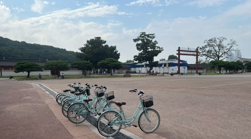 자전거 라이딩
